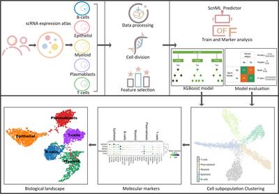 BreCML: identifying breast cancer cell state in scRNA-seq via machine learning